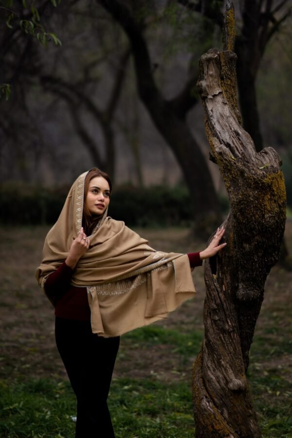 Shawl Pashmina Neem Dor - Image 2