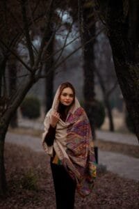 Shawl Pashmina Kalaan Palla Sozni Kalamkari