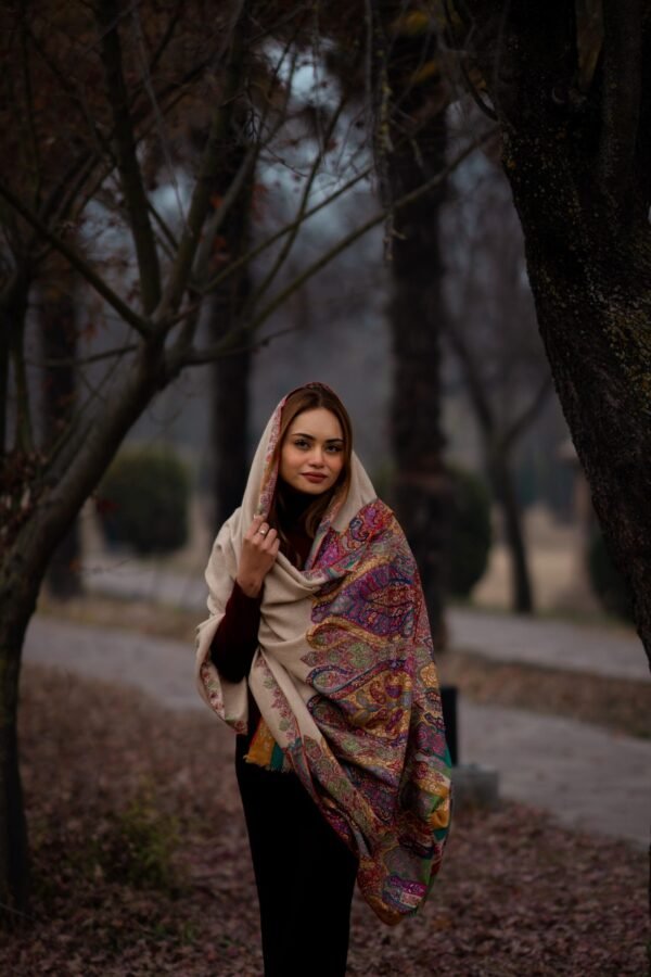 Shawl Pashmina Kalaan Palla Sozni Kalamkari - Image 2