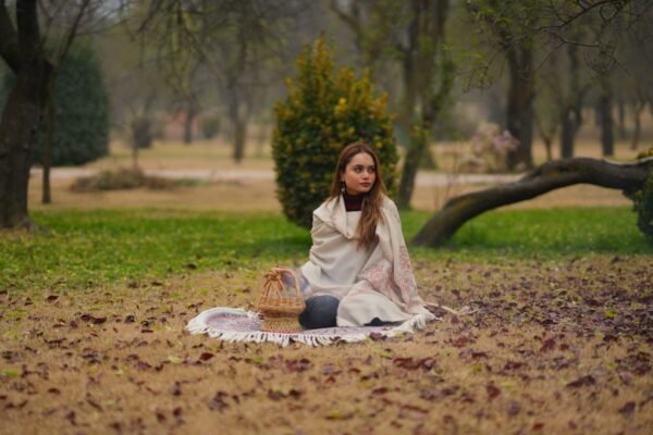Shawl Pashmina Designer Tehreerkar Palla - Image 3
