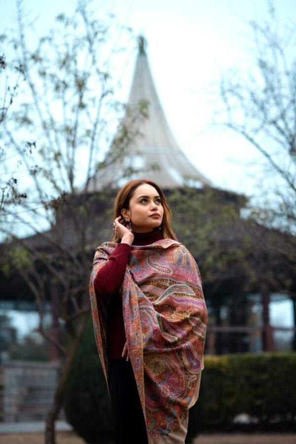 Shawl Pashmina Sozni Jama - Image 3